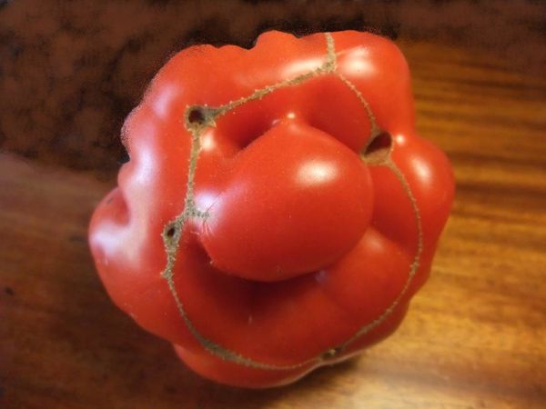 bonhomme tomate