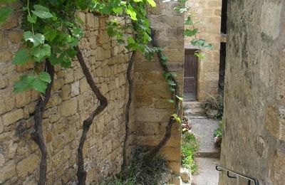 Voyage en Périgord : Autour de Laroque-Gageac