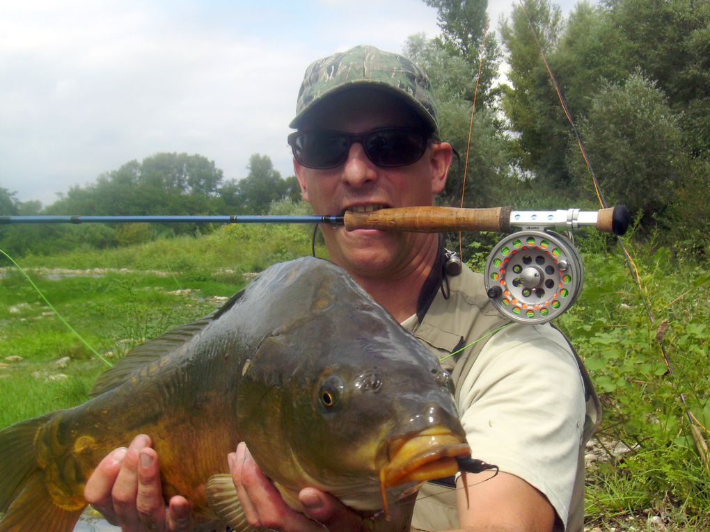 Une série de photos de carpes prise a la mouche