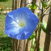 Echappée belle en bleu ciel