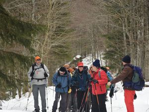 Rando Raquettes Col du Mollard