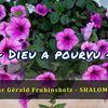 Vidéo 236 - Dieu a pourvu