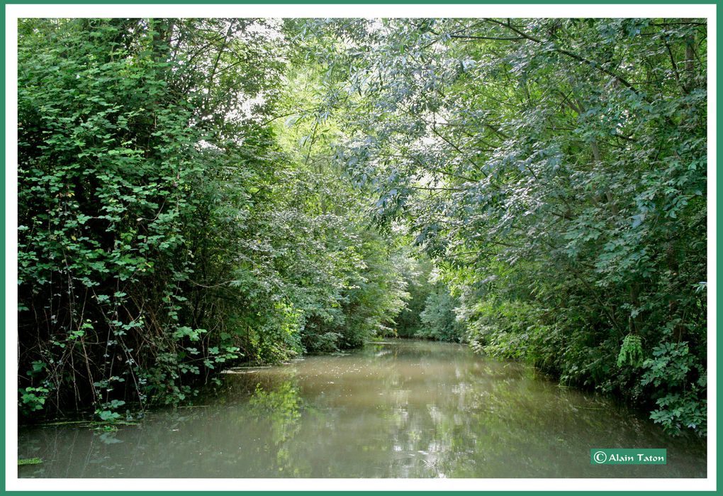 Album - le-marais-Poidevin