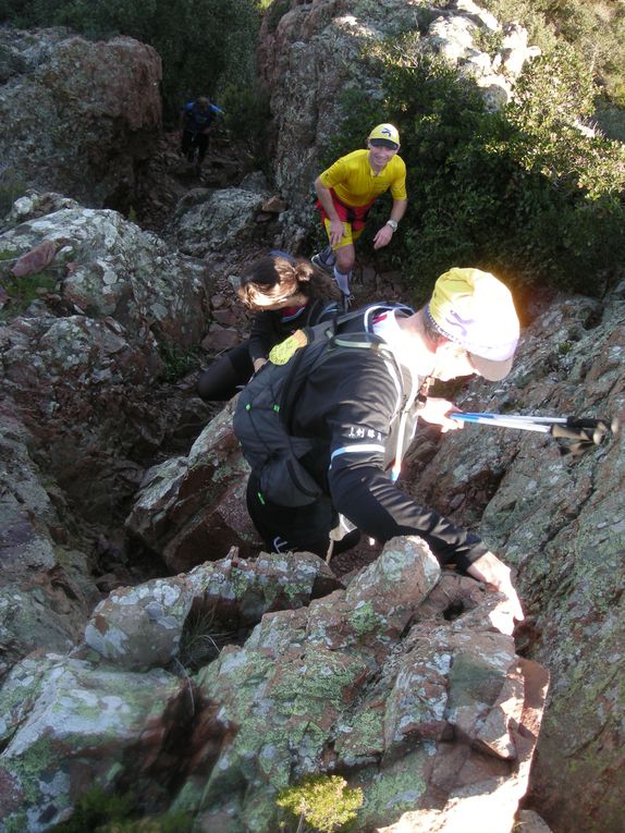 Album - Trail-off-de-l-Esterel-nord-16-01-11