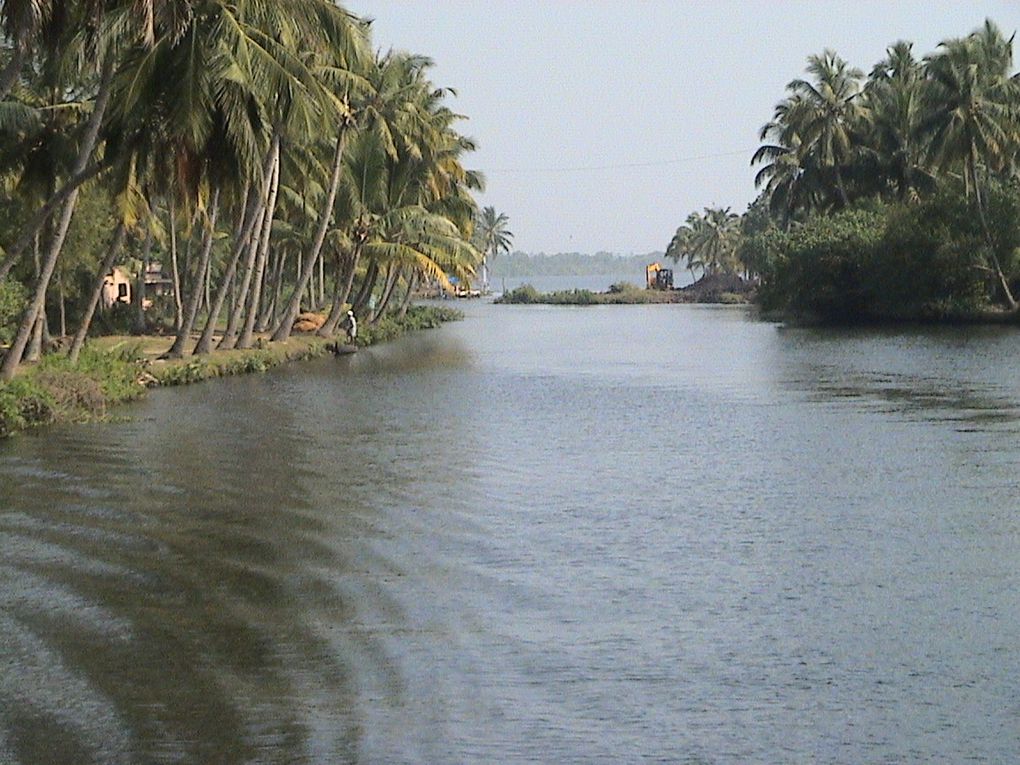 Kollam/allepey : une journée à travers les canaux de backwaters.