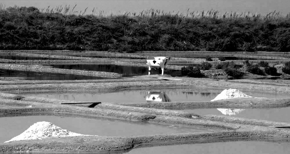 Album - Les Marais-salants de Guerande en noir et blanc