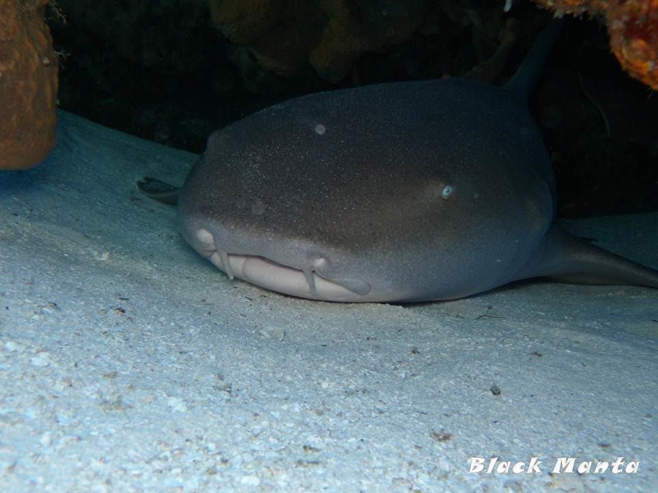 Album - Cozumel-02-2013