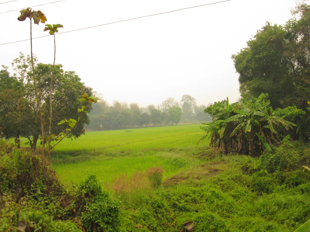 Album - THAILANDE---Chang-Mai---Trip-moto