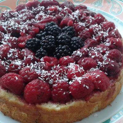 BONHEUR DE FRUIT  ROUGE (sans gluten ,gras et sucre)