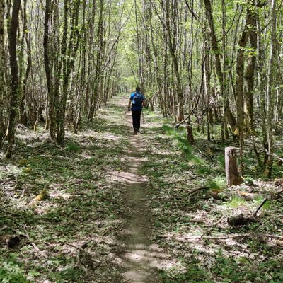 le brin de muguet est à l'honneur ce Mardi