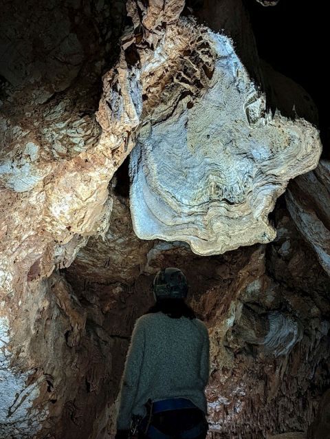 La décoration insolite de la grotte des Champignons.