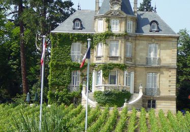 Bordeaux : 18 millions d'euros pour moins de 5 hectares