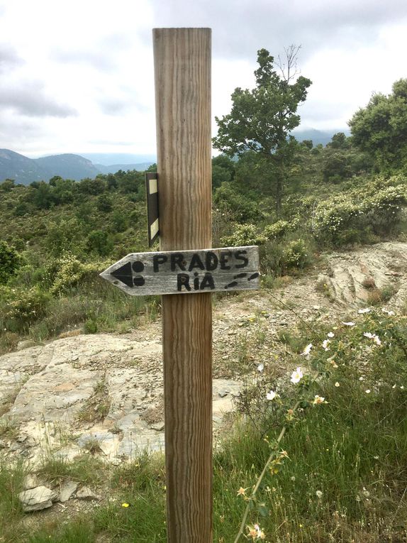 Dimanche 31 Mai: Prades