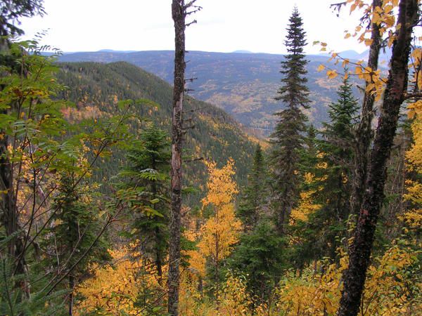 Dans la parc de la Gaspésie