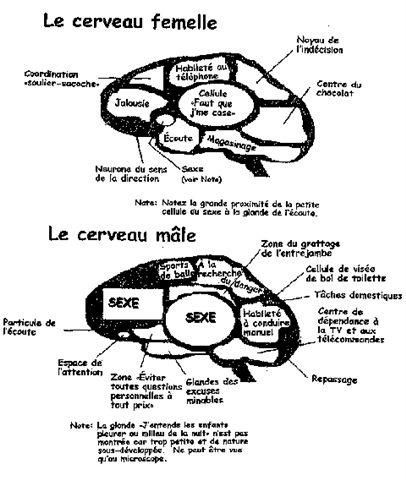 Photos toutes mélangées ayant servies dans articles