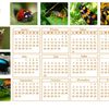 calendrier annuel thème nature
