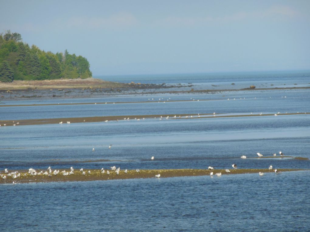 Quelques vues de mon voyage au Québec 
du bleu ,du vert ,des couleurs ,des souvenirs