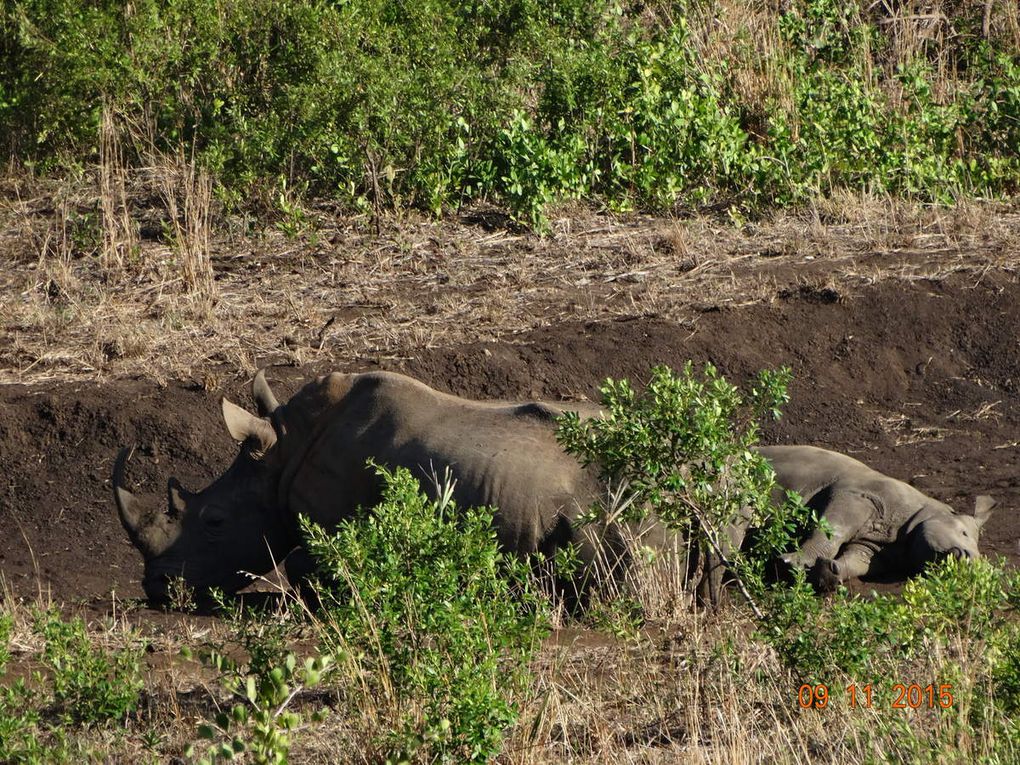 Mon voyage en Afrique du Sud  Nov.2015 :5e et 6e jour 