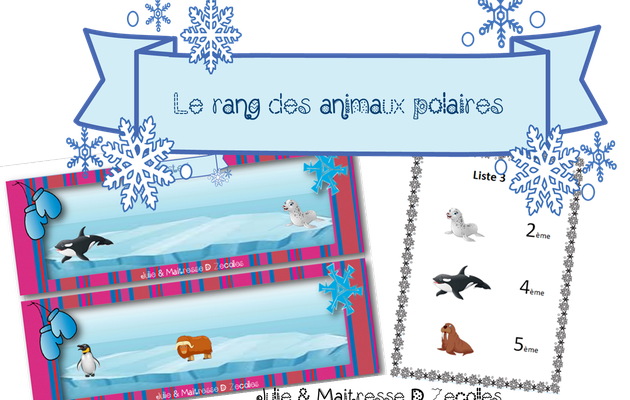 Banquise / Hiver : Position des animaux avec l'aspect ordinal