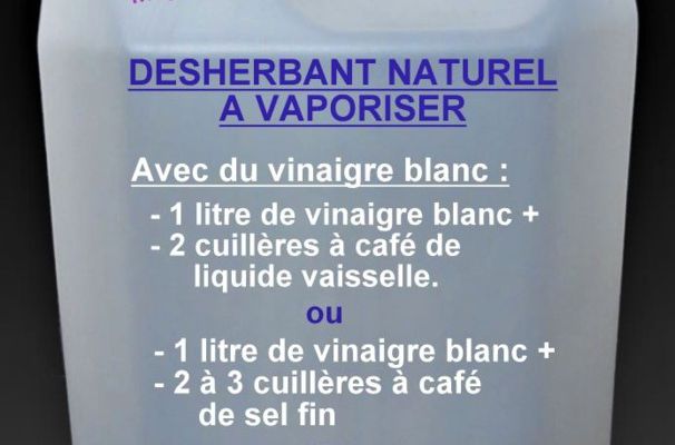 Désherber avec du vinaigre blanc et sel