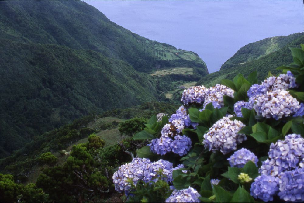 Voyage d'aventures aux Acores