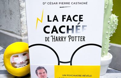 La face cachée de Harry Potter 