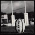 actu-rugby