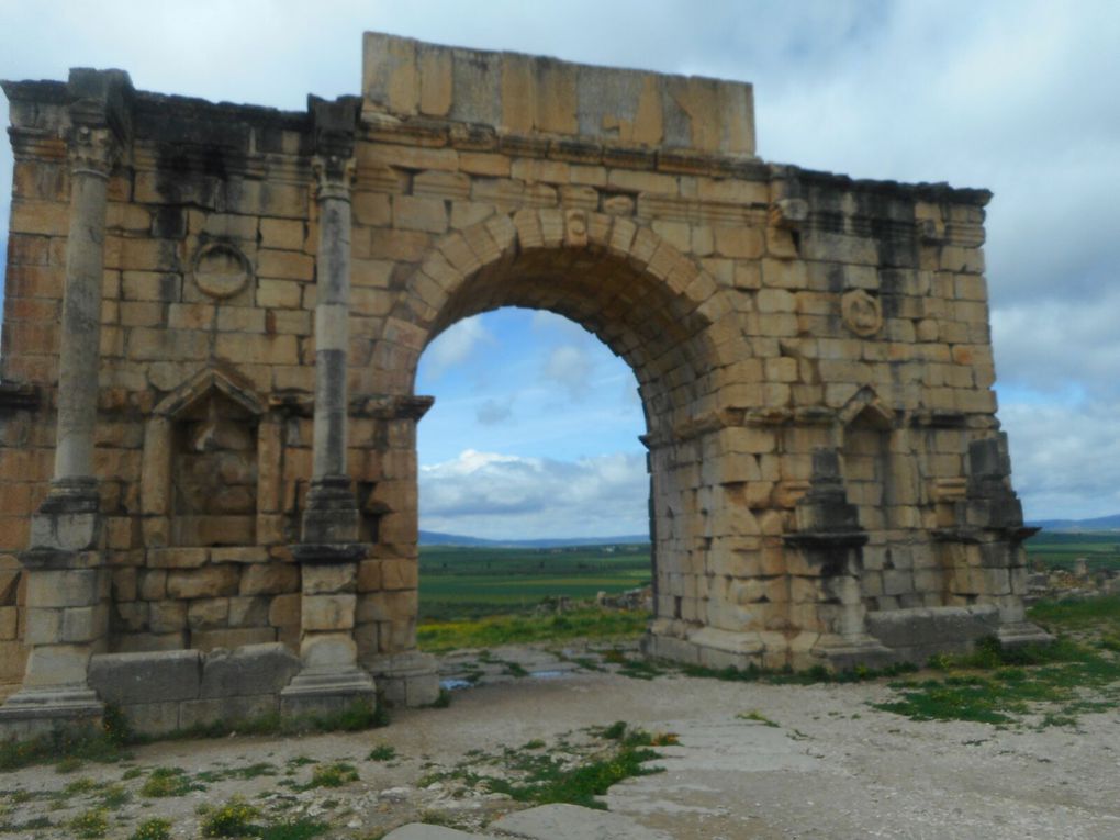 Volubilis.