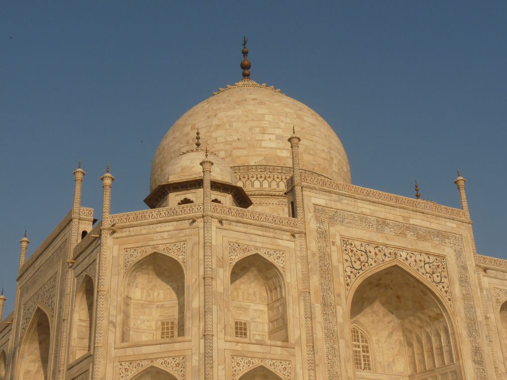 Album - AGRA-et-le-TAJ-MAHAL