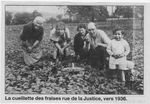 Fête des Fraises 2011... Maxéville... 28ème édition...