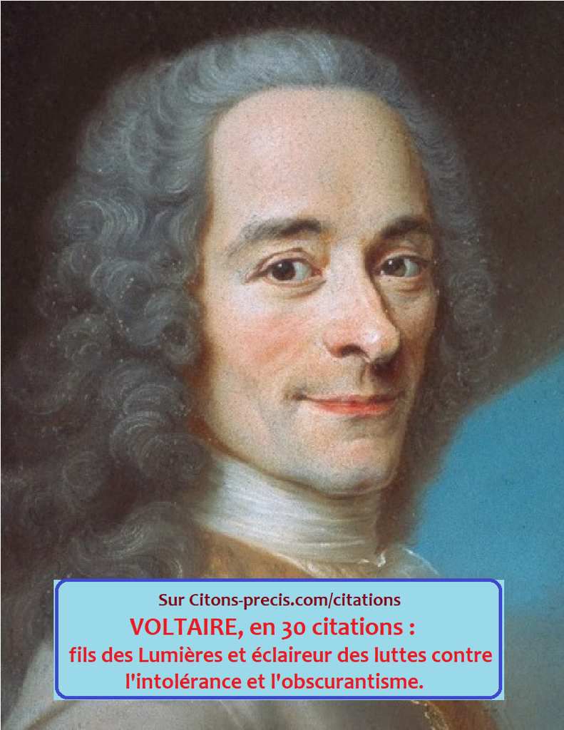 Voltaire En 30 Citations Citons Precis Com Citations