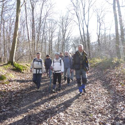 Randonnée de Villaines-sous-Bois à Mériel - 18,5 km.