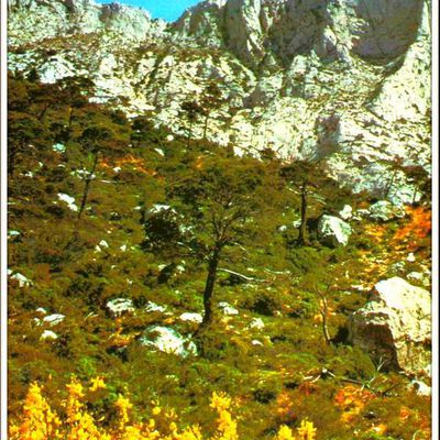 Paysage - montagne Sainte-Victoire - Aix-en-Provence