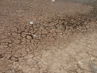 Burkina Faso, printemps 2012 : Les yeux ouverts sur la beauté de la nature, sur la dureté de la vie. Humanité économe. Esprits vifs, partage à tous les étages. Source d'inspiration.