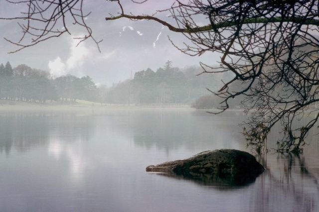 Album - merveillese-nature &quot;ANGLETERRE&quot;