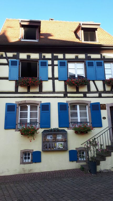 Visit Eguisheim