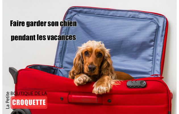 Faire garder son chien a tours