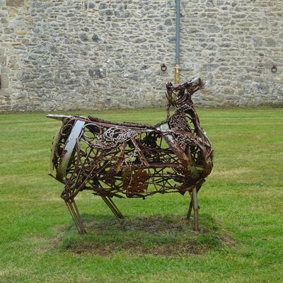 Le Cotentin-Le nez de Jobourg-Goury-Lundi 23 septembre 2019