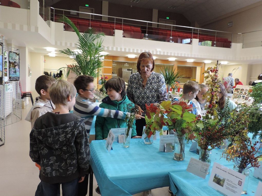 Quelques images de la visite des écoliers à notre exposition.