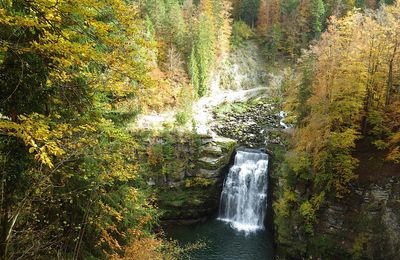 Randonnée au Saut du Doubs...