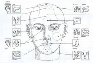 Reflexologie faciale
