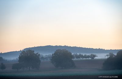 Brouillard automnal sur MADONNE-ET-LAMEREY 