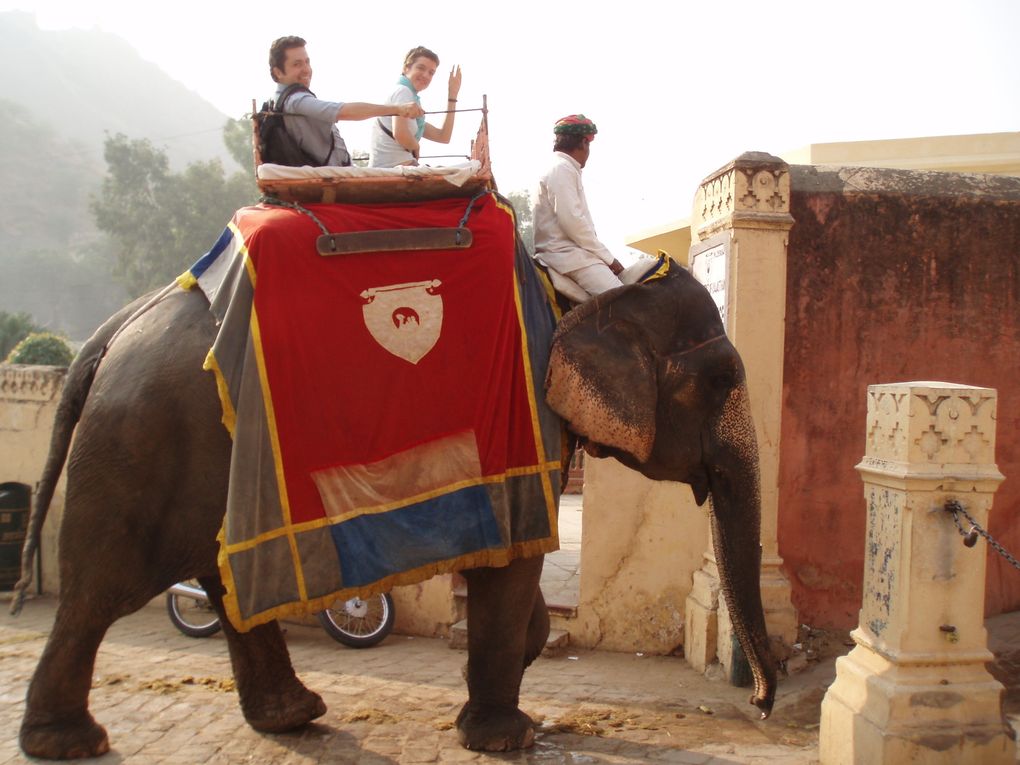 Jaipur la ville rose, et le fort d'Amber