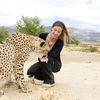 Mission sauvage: Ingrid Chauvin au chevet des guépards, en Afrique du Sud.