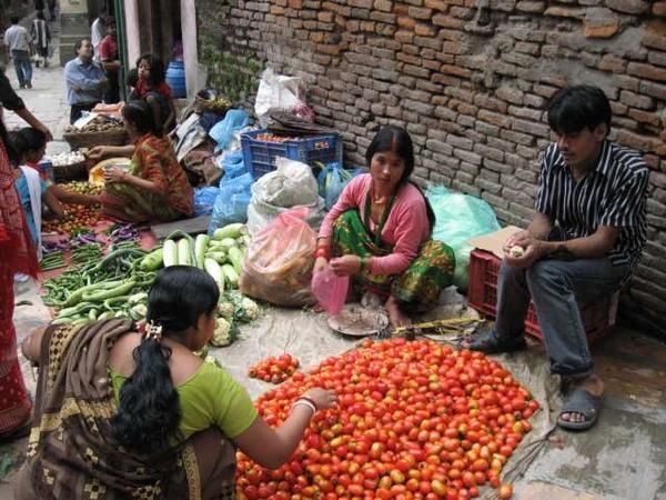 Album - Nepal-et-Trek