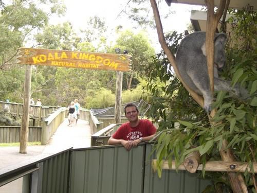 Hier die zweite Ladung an Bildern vom Australia Zoo sowie brandneu von der Lone Pine Koala Sanctuary - enjoy!!!!