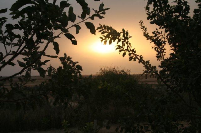 Album - Sine-Saloum-Senegal