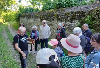 Stage cueillette comestible 2h30