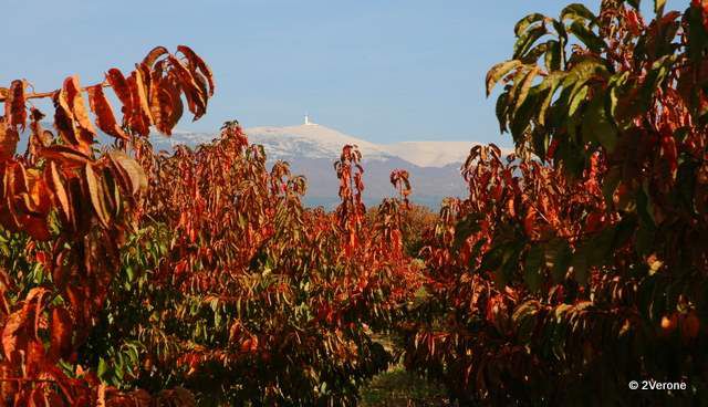 Album - Regard Paysages