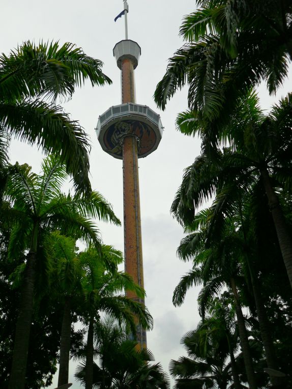 Album - mount  farber and sentosa